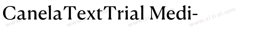 CanelaTextTrial Medi字体转换